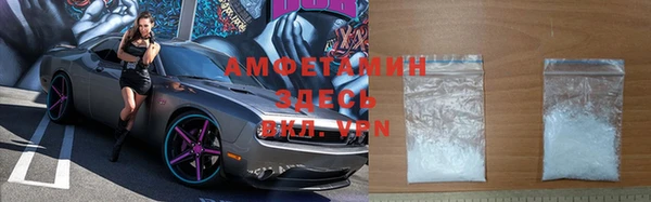молекула духа Арсеньев