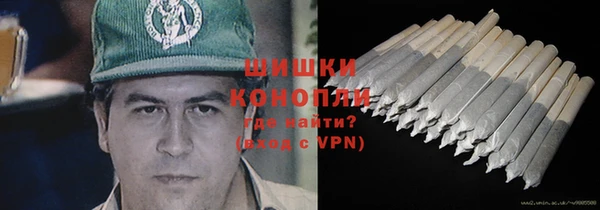 молекула духа Арсеньев