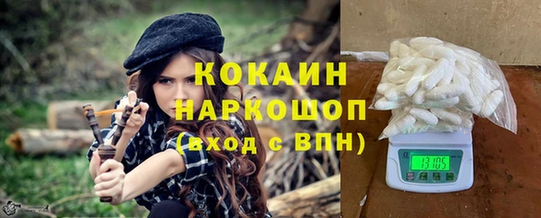 молекула духа Арсеньев