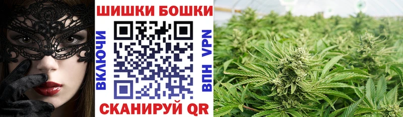 Шишки марихуана конопля  что такое   Краснослободск 